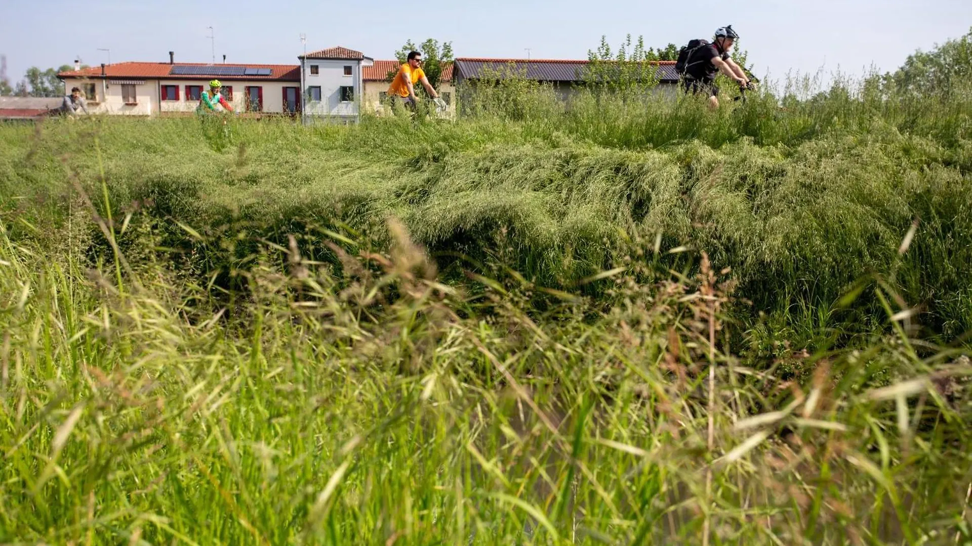 Agriturismo Al Botteniga Treviso