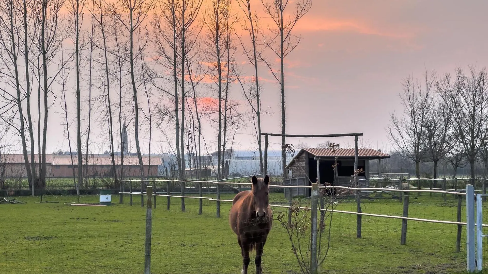 Agroturismo Agriturismo Al Botteniga Treviso