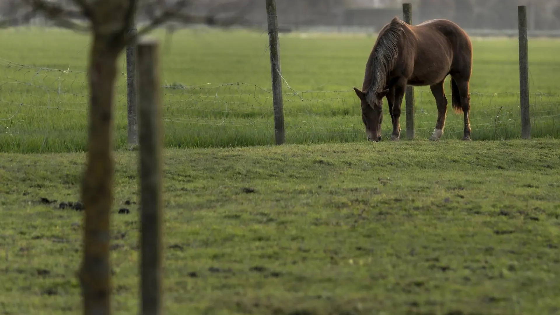 Farm stay Agriturismo Al Botteniga Treviso